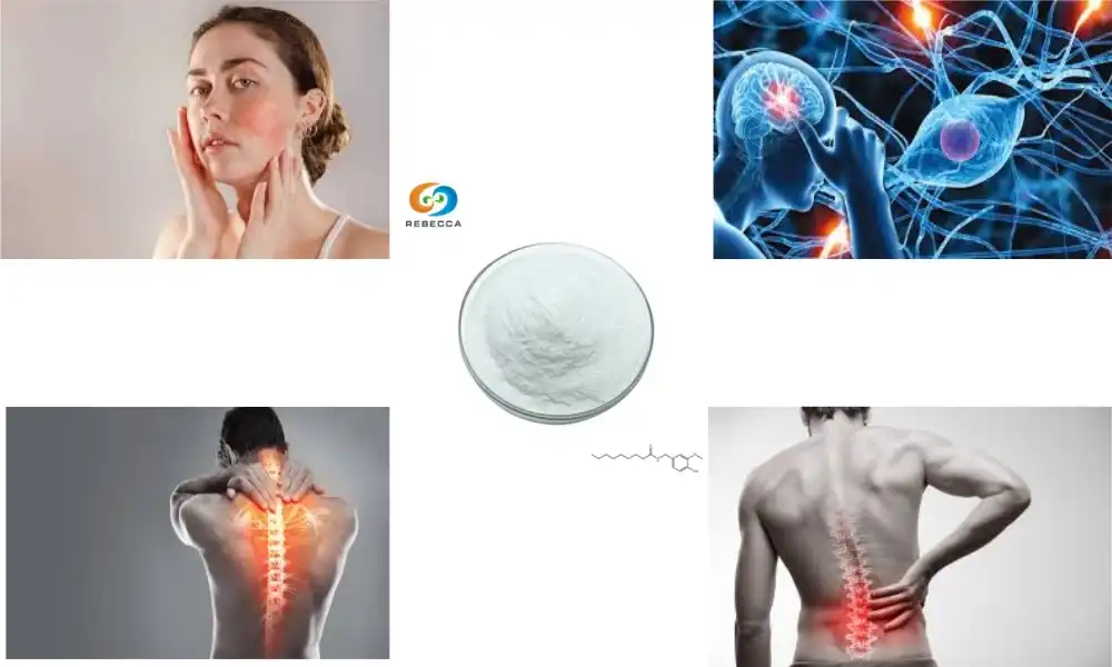 What Are the Key Uses of Nonivamide Powder in Therapy?